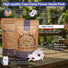Cape Daisy Flower Seeds Pack 1 oz - Over 2,550 Non - GMO Heirloom Cape Daisy Seeds for Planting, Perennial Flowers in Individual Seed Packet, Seeds for Planting Home Garden Indoor & Outdoor Gardening - Organo Republic