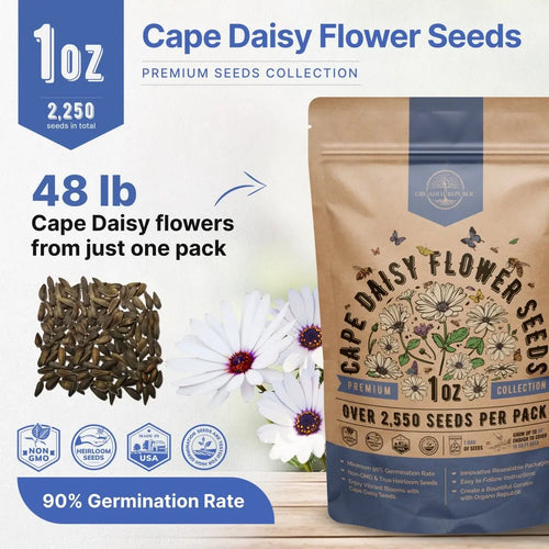 Cape Daisy Flower Seeds Pack 1 oz - Over 2,550 Non - GMO Heirloom Cape Daisy Seeds for Planting, Perennial Flowers in Individual Seed Packet, Seeds for Planting Home Garden Indoor & Outdoor Gardening - Organo Republic