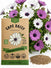 Cape Daisy Seeds