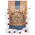 Cape Daisy Seeds Organo Republic