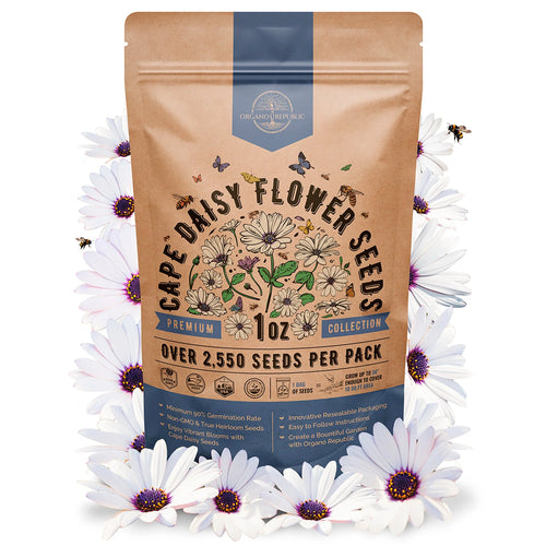 Cape Daisy Seeds Organo Republic
