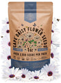 Cape Daisy Seeds Organo Republic