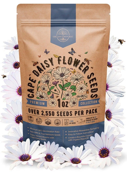 Cape Daisy Seeds Organo Republic