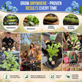 Cape Forget-Me-Not Seeds Pack 3G
