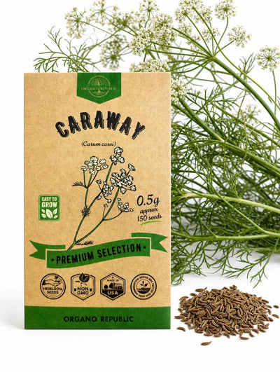 Caraway Seeds