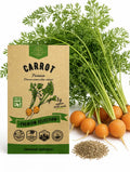 Parisian Carrot Seeds – Non-GMO Heirloom