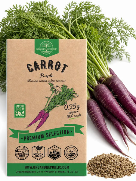 Carrot Purple Seeds - Organo Republic