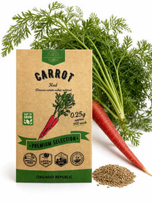 Red Carrot Seeds – Non-GMO Heirloom