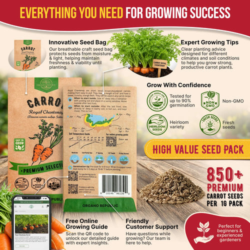 Carrot Royal Chantenay Seeds Pack 1G