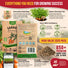 Carrot Royal Chantenay Seeds Pack 1G
