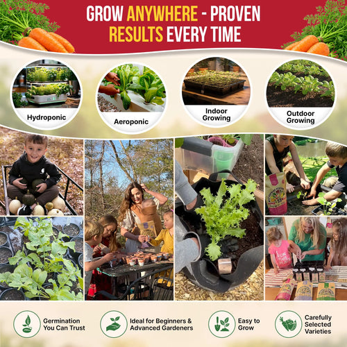 Carrot Royal Chantenay Seeds Pack 1G