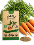 Chantenay Carrot Seeds – Royal, Non-GMO Heirloom