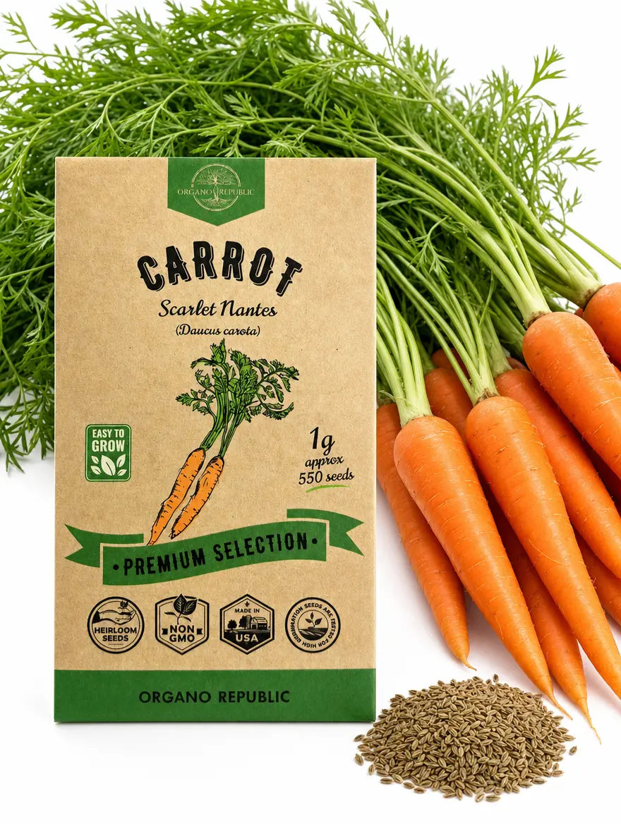 Scarlet Nantes Carrot Seeds, Non-GMO Heirloom