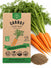 Carrot Scarlet Nantes Seeds - Organo Republic