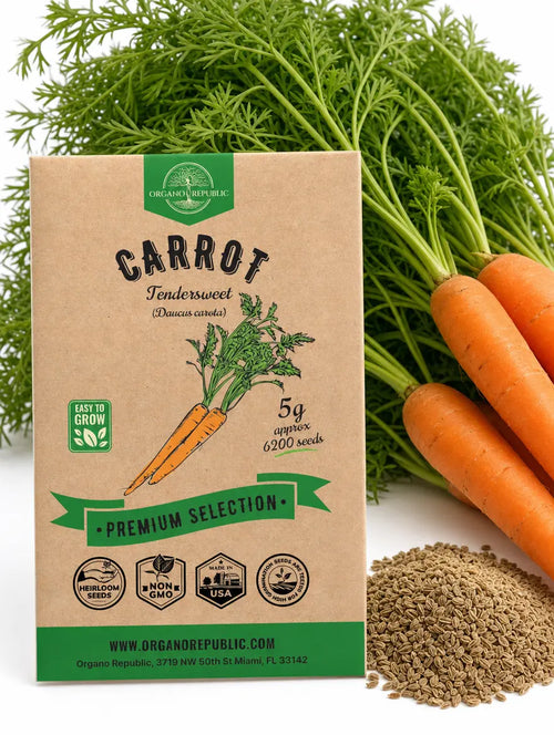 Tendersweet Carrot Seeds – Non-GMO Heirloom