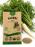 Carrot White Seeds