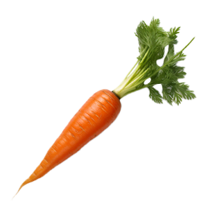 Carrot Imperator 58 - 2G