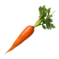 Carrot Imperator 58 - 2G