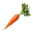 Carrot Imperator 58 - 2G