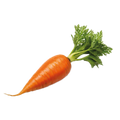 Carrot Royal Chantenay - 1G