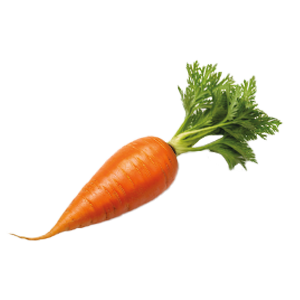 Carrot Royal Chantenay - 1G