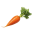 Carrot Royal Chantenay - 1G