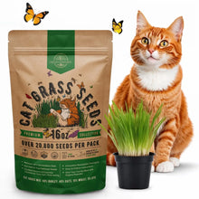 Cat Grass Seeds Mix – Barley, Oat, Rye & Wheat Grass for Cats & Pets, Non-GMO
