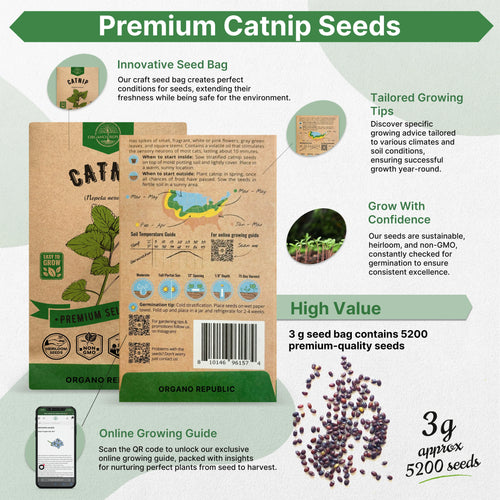 Catnip Seeds Pack 3G