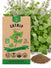 Catnip Seeds - Organo Republic