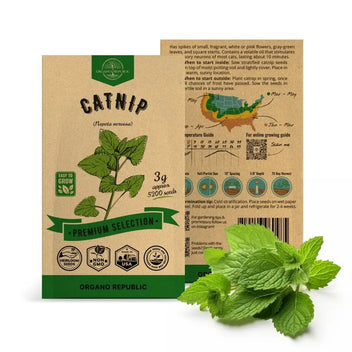Catnip Seeds Pack 3G