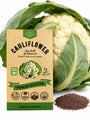 Cauliflower Snowball Y Improved Seeds