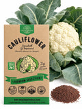 Snowball Y Improved Cauliflower Seeds – Non-GMO Heirloom
