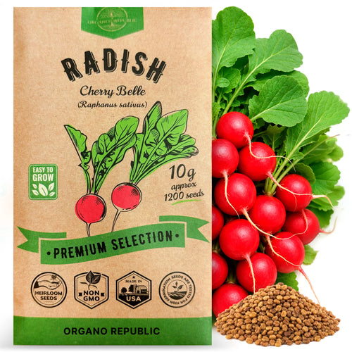Cherry Belle Radish Seeds Pack 10G
