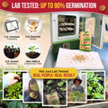 Cherry Belle Radish Seeds Pack 10G