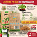 Cherry Belle Radish Seeds Pack 10G