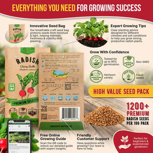Cherry Belle Radish Seeds Pack 10G