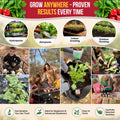 Cherry Belle Radish Seeds Pack 10G