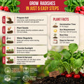 Cherry Belle Radish Seeds Pack 10G