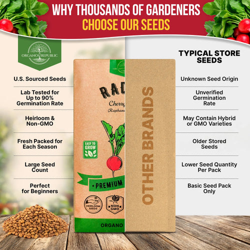 Cherry Belle Radish Seeds Pack 10G