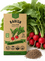 Cherry Belle Radish Seeds