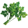 Curled Chervil - 2G