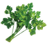 Curled Chervil - 2G