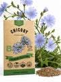 Chicory Seeds