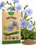 Chicory Seeds