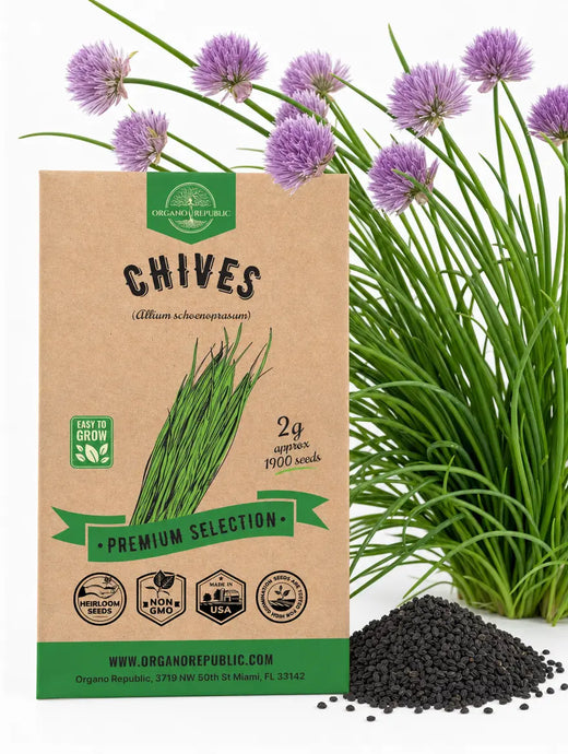 Chives Seeds