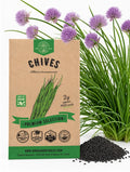 Chives Seeds – Non-GMO Heirloom