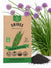 Chives Seeds - Organo Republic