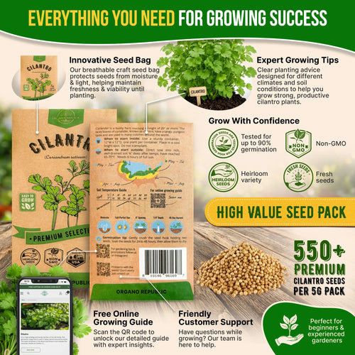 Cilantro Seeds Pack 5G