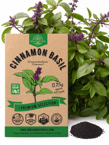 Cinnamon Basil Seeds
