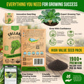 Collard Georgia Southern Seeds Pack 5G